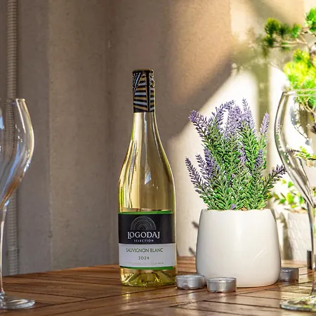 Maryland Incl Private Garage Apartment Sofia