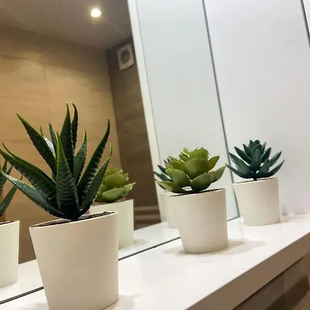 Maryland Incl Private Garage アパート ソフィア